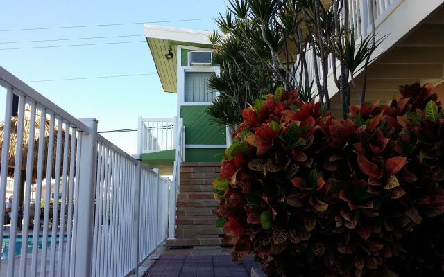The Palms On Ocean