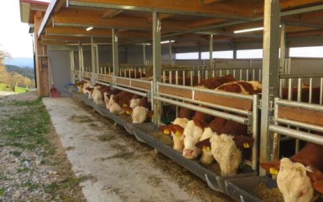 Ferienwohnungen Bauernhof Schilcher