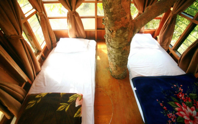 Pai Treehouse Resort