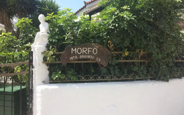 Pettite Morfo