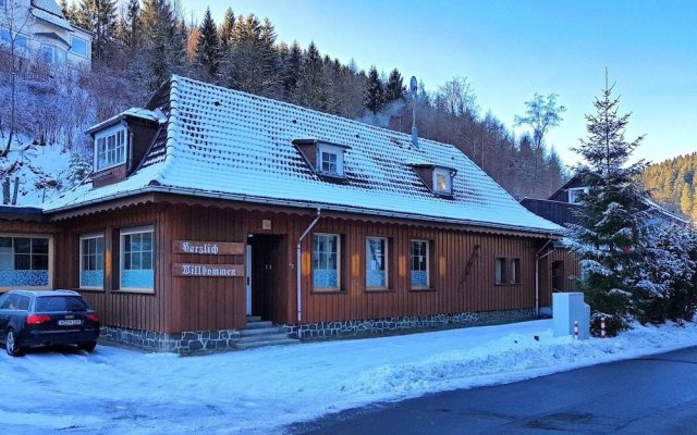 Spacious Apartment in Upper Harz near River