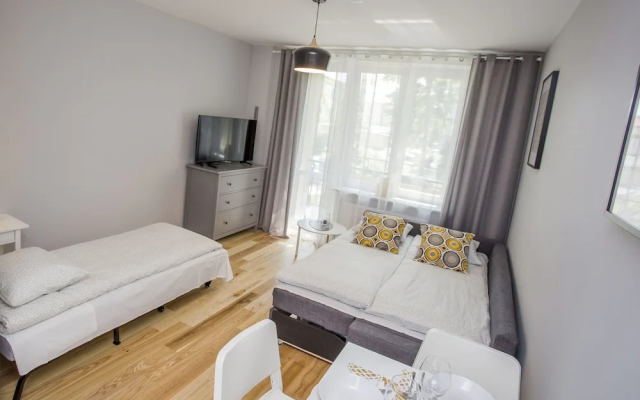Central Rental - Apartament Uroczy