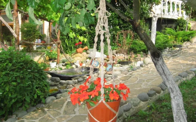 Villa Zelenika