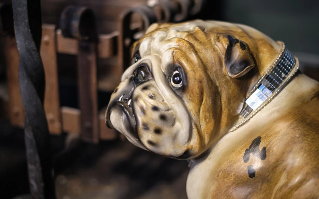 The Famous Harry Potter House