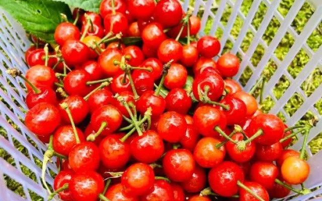 Suzhou Xishihu Villa