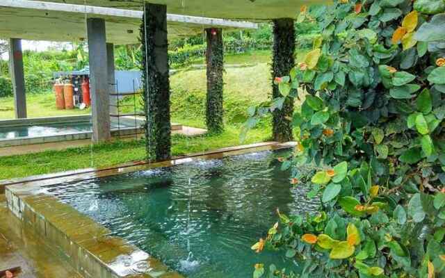 Tea Garden Resort
