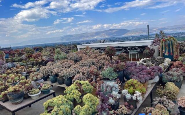 Seven Shanfang Homestay