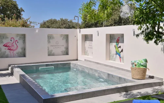 Paradissia Luxe Villa With Private Swimming Pool