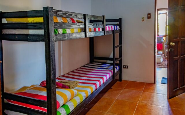 Ayo Homtel