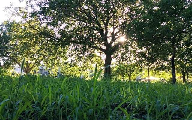 B B Residenza Guglielmi