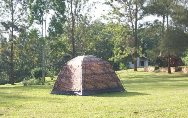 Nile Park - Campsite