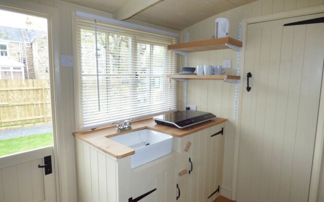 William's Hide