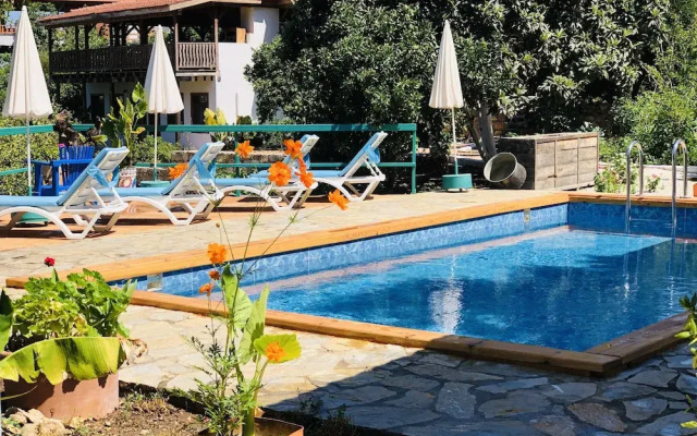 Suleyman's Garden