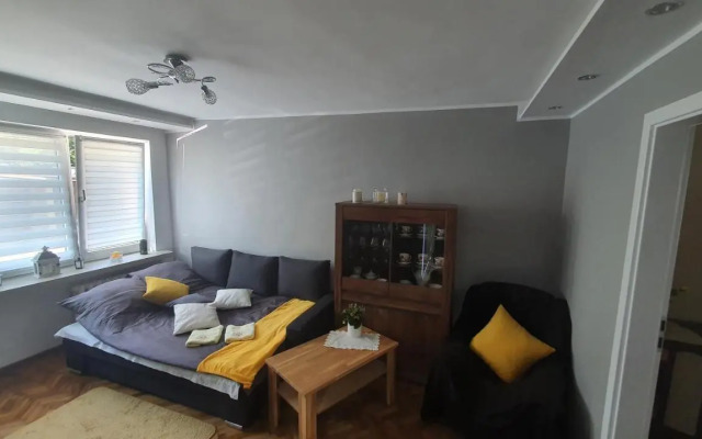 Apartament Park Saski