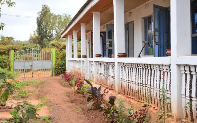 African wagtail hostel