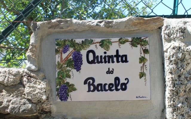 Quinta Do Bacelo, Casa Completa, 4 Quartos E Piscina