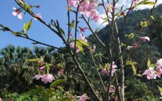 Qing Song B&B