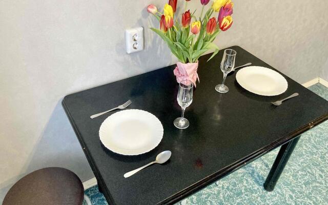 Апартаменты на улице Софьи Коволевской 11