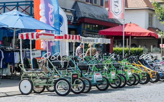 Holiday Home in De Haan With Garden