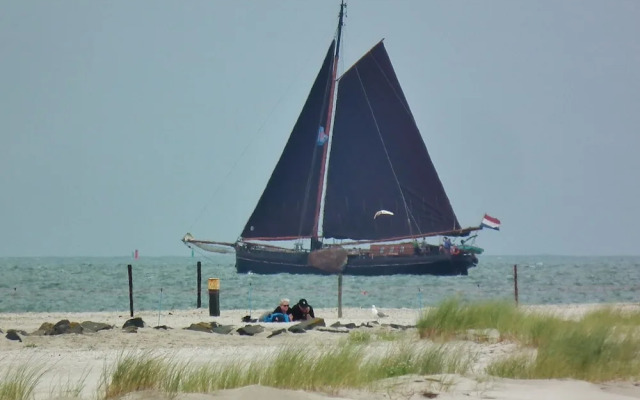 Wonderful and Spacious Apartment