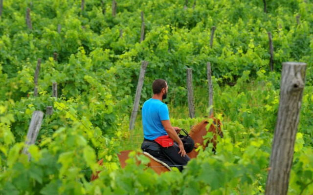 Apartment Nina Moniga del Garda