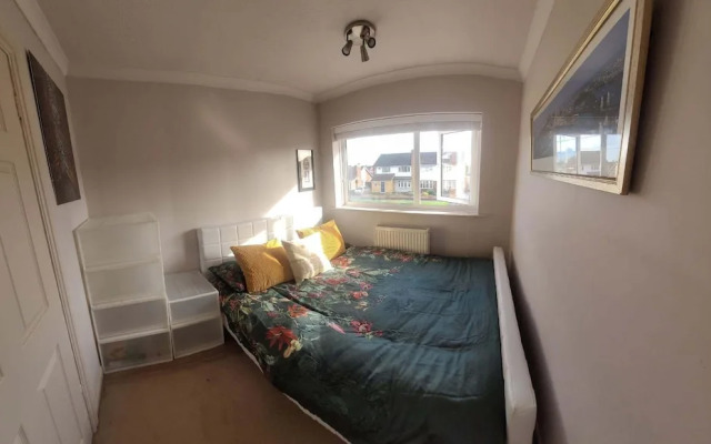 Cosy Home in Leicester