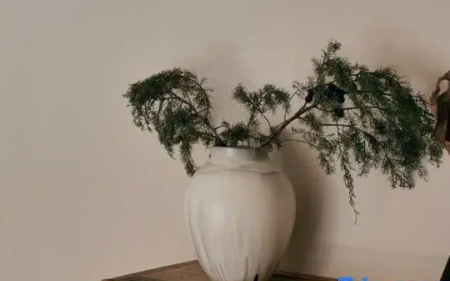Opono • Puno Wabi-Sabi Snow Mountain Scenic Homestay (Shuhe Old Town)