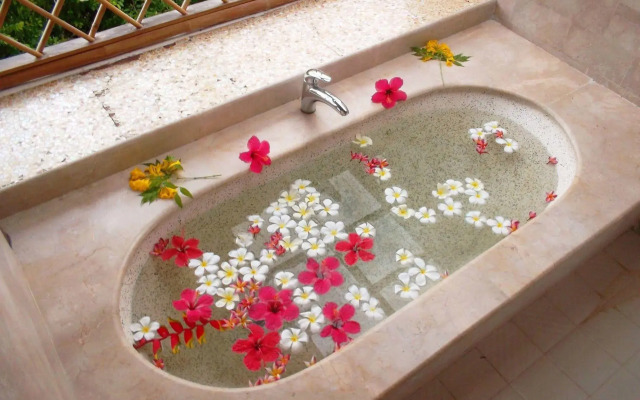 Badian Island Wellness Resort