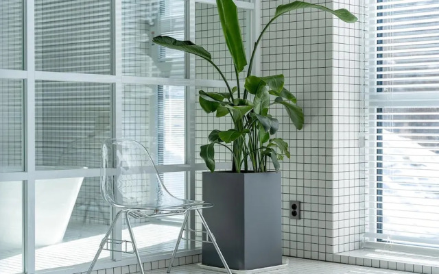 Yangpyeong Villa Blanche Dokchepension