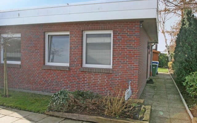 Kegelrobbe Norden in Norden