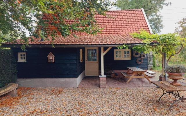 Studio Blue Beech
