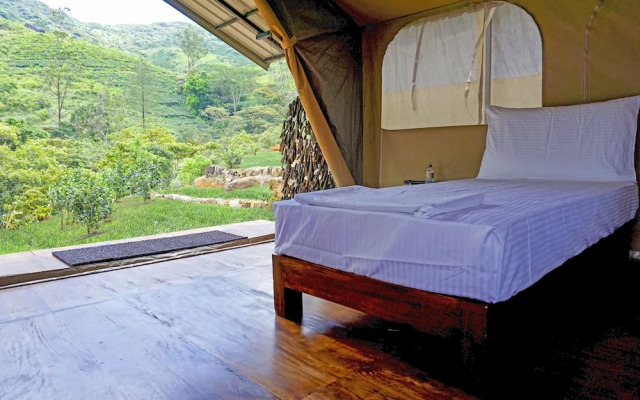 Wild Glamping Knuckles