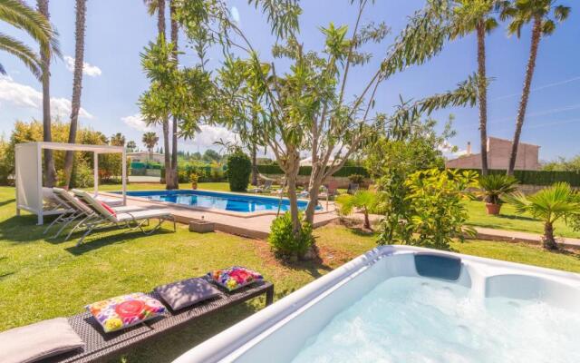 Can Picafort - 232562