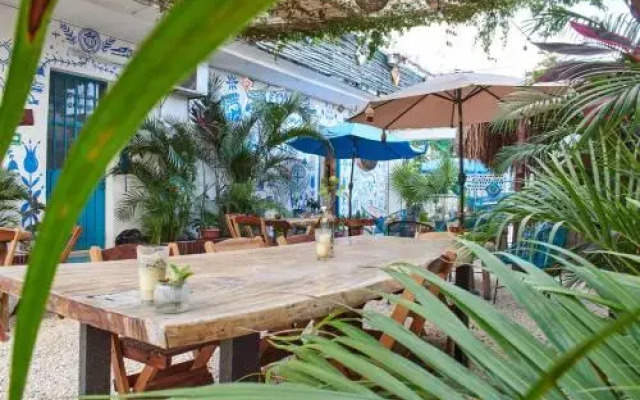 La Gran Mosca Verde Hostel