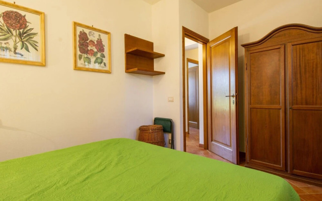 Cedri Alti Gavignano