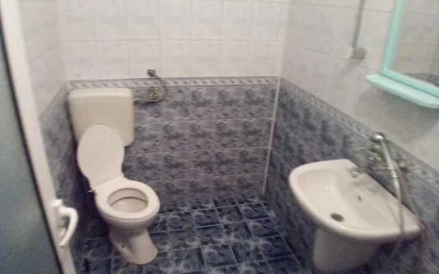 Zlatevi Guest House
