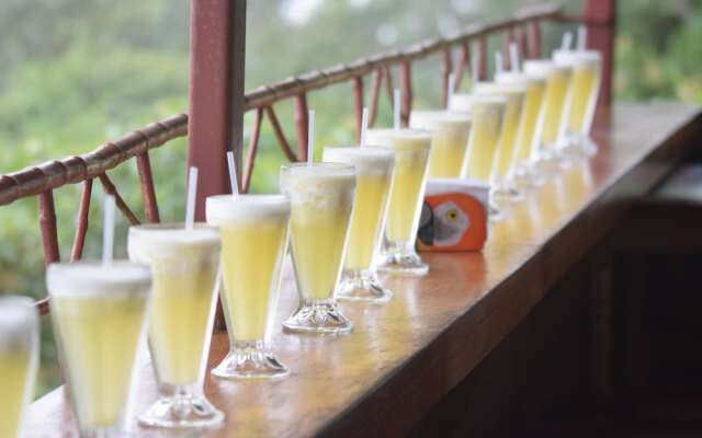 Mirador Valle del General