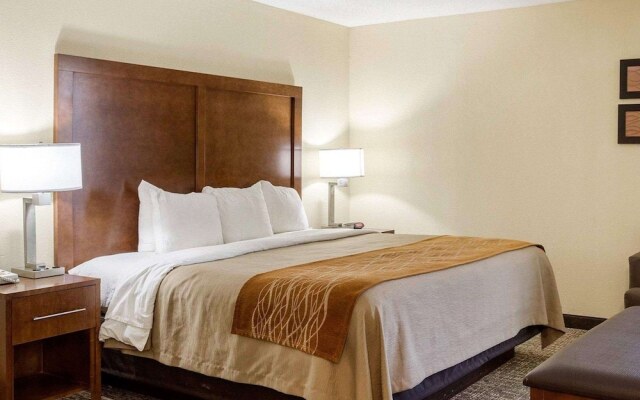 Comfort Inn Olive Branch