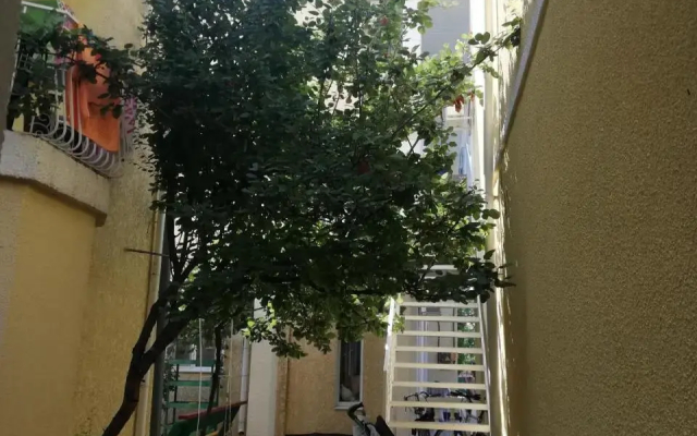 Hotel Lev