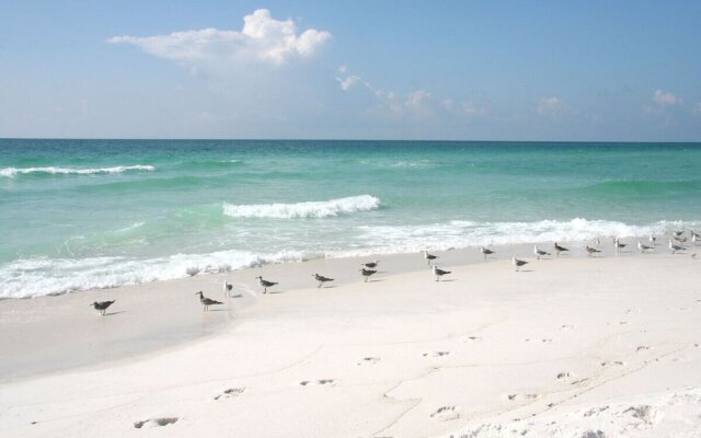 Lazy Urchin Seaclusion