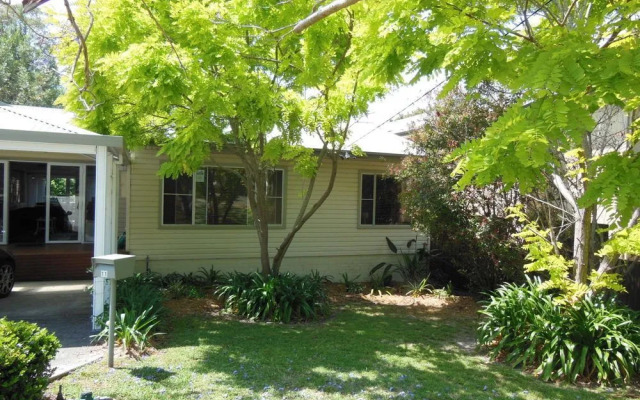 Christmas Bush Avenue No.11