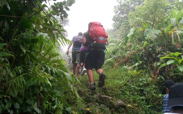 Serenity Lodges Dominica