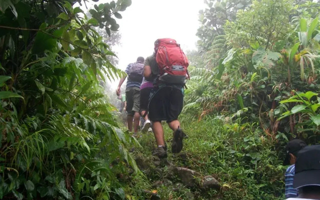 Serenity Lodges Dominica