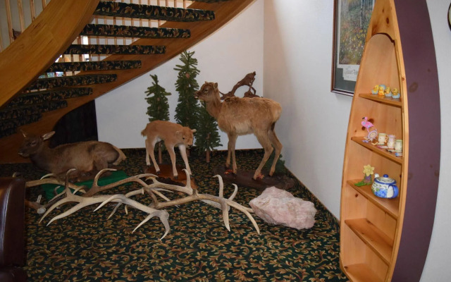 Greenwood Village Inn & Suites