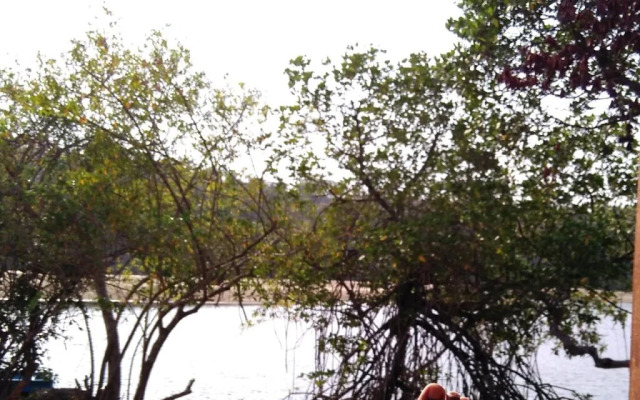 The Bay Agonda