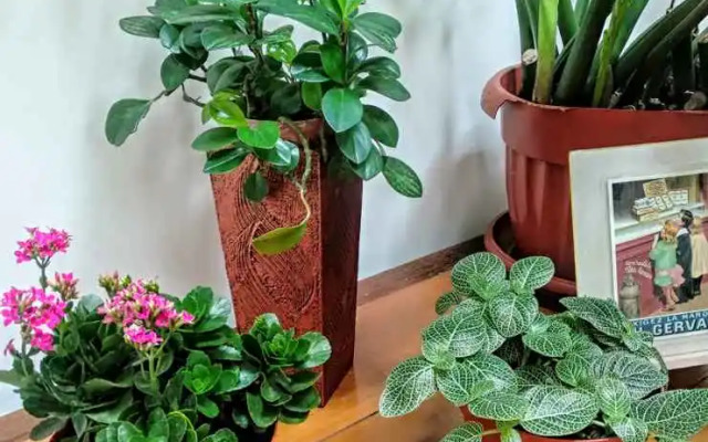 Hotel Hello Guest House Bukittinggi