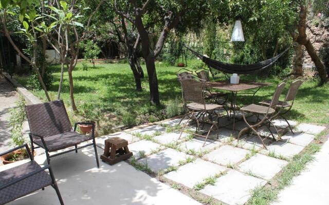 Nel Giardino Degli Agrumi