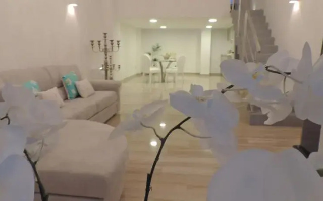 Best Holidays Loft