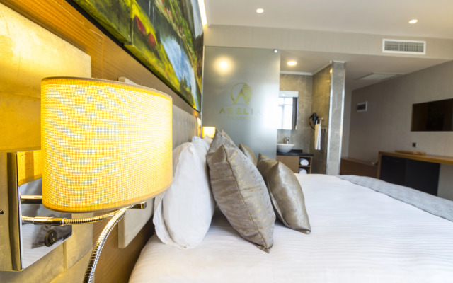 Aselia Hotel Trabzon