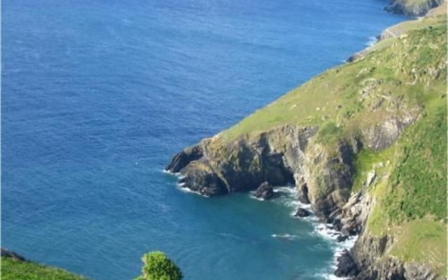 Melyn-y-Gors